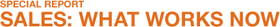 Sales: What Works Now