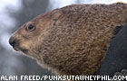 Punxatawny Phil
