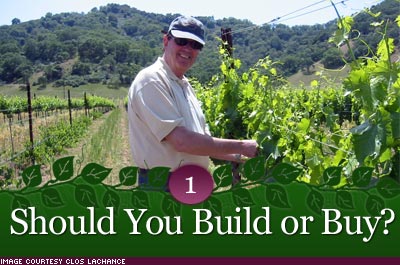 8 Steps to Owning Your Own Vineyard