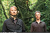 Inside the Issue: November 2008