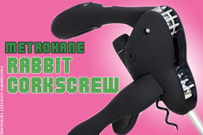 Great Design? 11 Products Destined to be Kitschy
