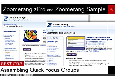 The Best Web Polling Tools
