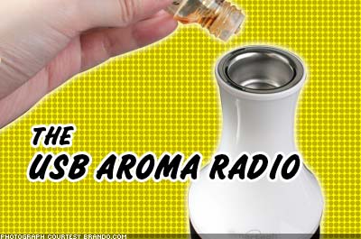 The Dumbest Products of 2008