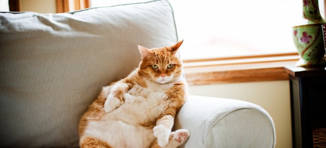 What the Average Billionaire Looks Like