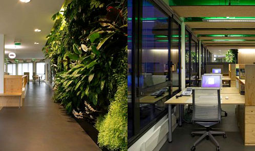 <p class='hname'> <a href='http://www.inc.com/ss/worlds-coolest-offices-2010/best-green-offices'>Foundation Nicolas Hulot</a> | <a href='http://www.inc.com/ss/worlds-coolest-offices-2010/best-green-offices'>Nicolas Favet Architectes</a> | Boulogne-Billancourt, France | Best Green Offices </p>