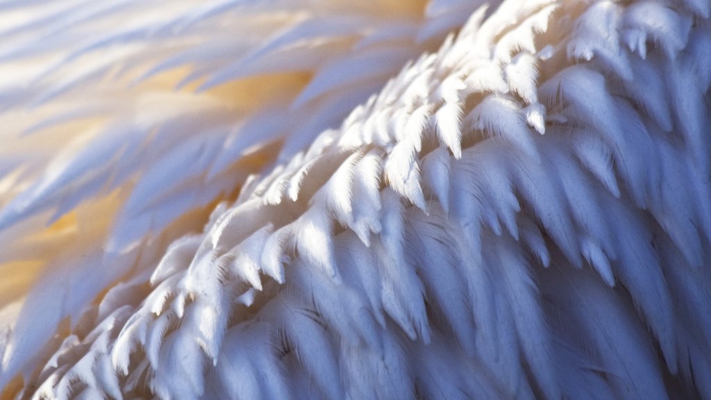 15 of the Biggest Angel Investors of All Time