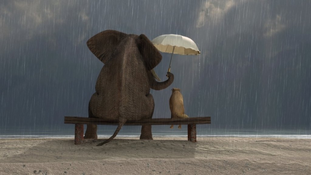 24 Quotes About Kindness That Will Inspire You to Make a Difference and