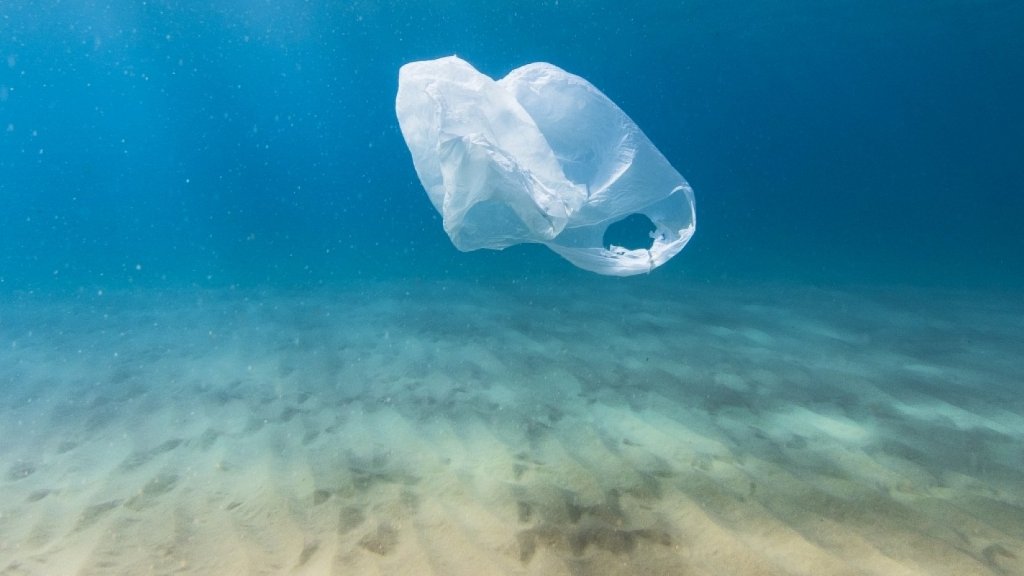 How Much Should a Plastic Bag Cost?