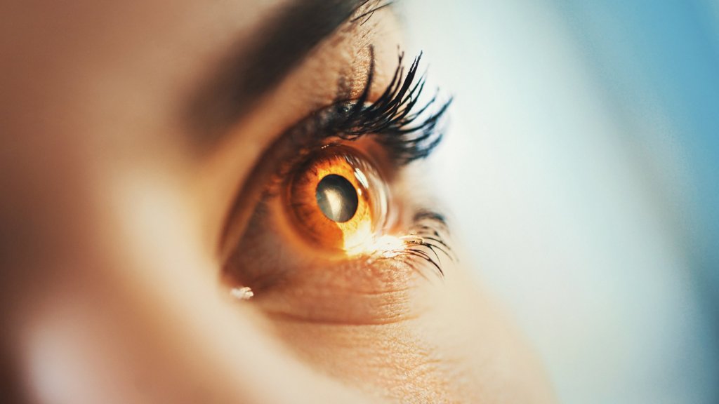 eye care and vision care
