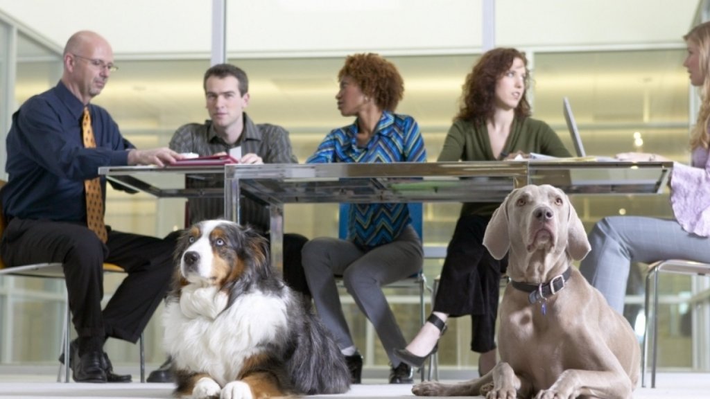 How to Create the Exact Work Culture You're Looking For | Inc.com