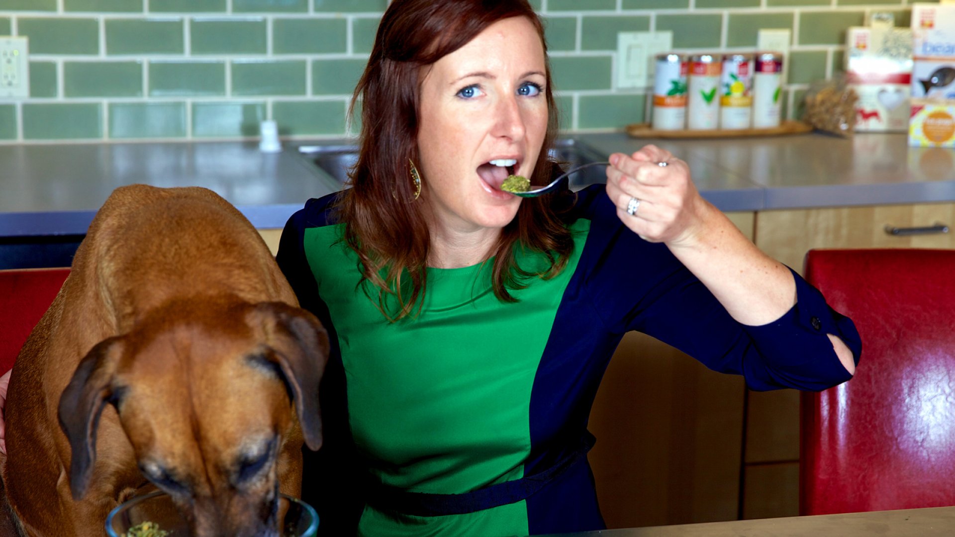 Дегустатор корма для животных. Еда для собак. Человек который ест животных это. Звери с мороженым. Профессии в зоопарке.