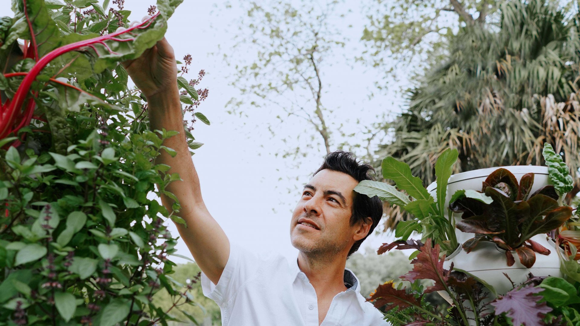 How 4 Companies Are Dealing With Big CoronavirusRelated Demand