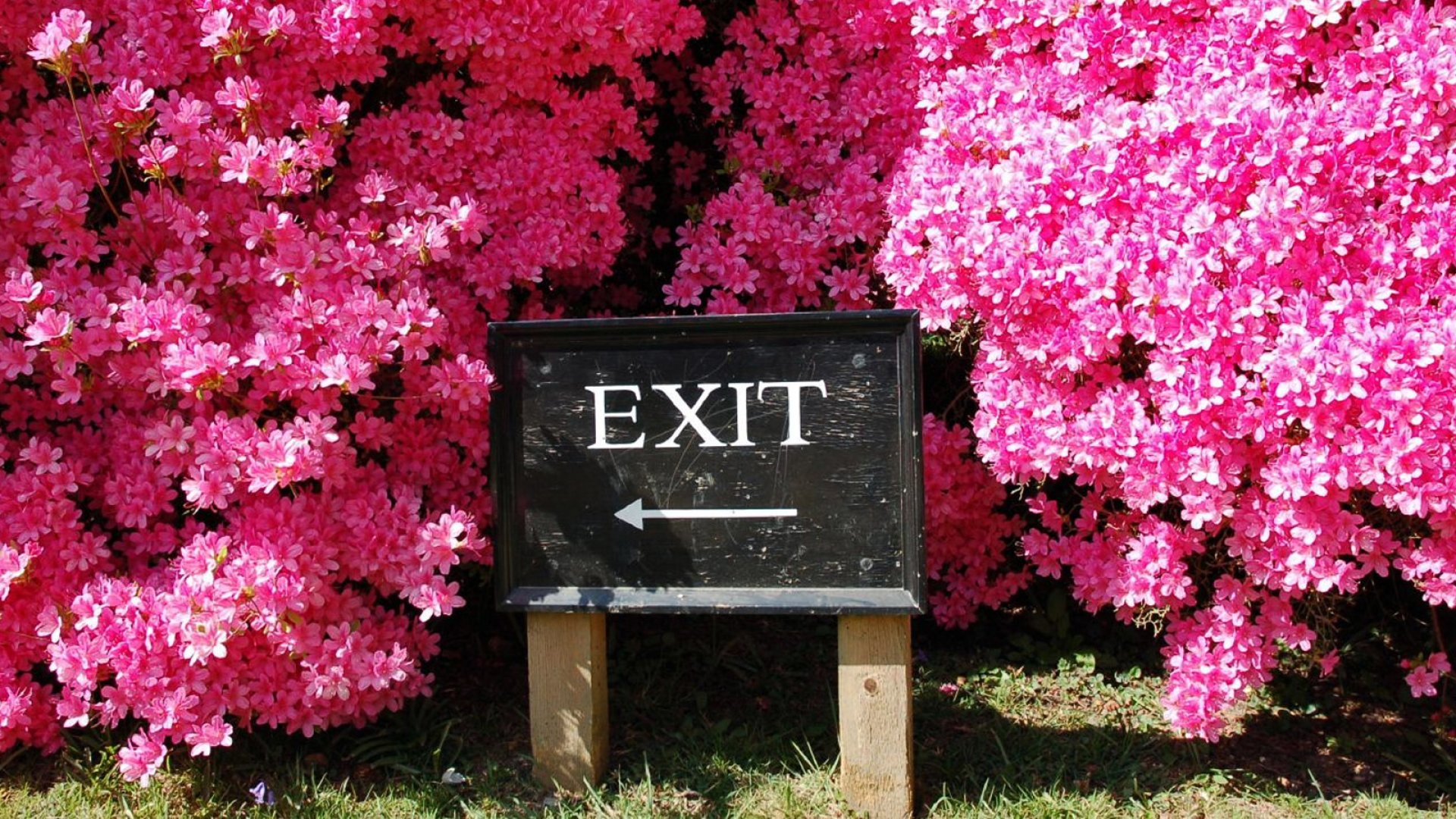Why Employees Quit Jobs Right After They ve Started Inc why-employees-quit-jobs-right-after-they-ve-started-inc