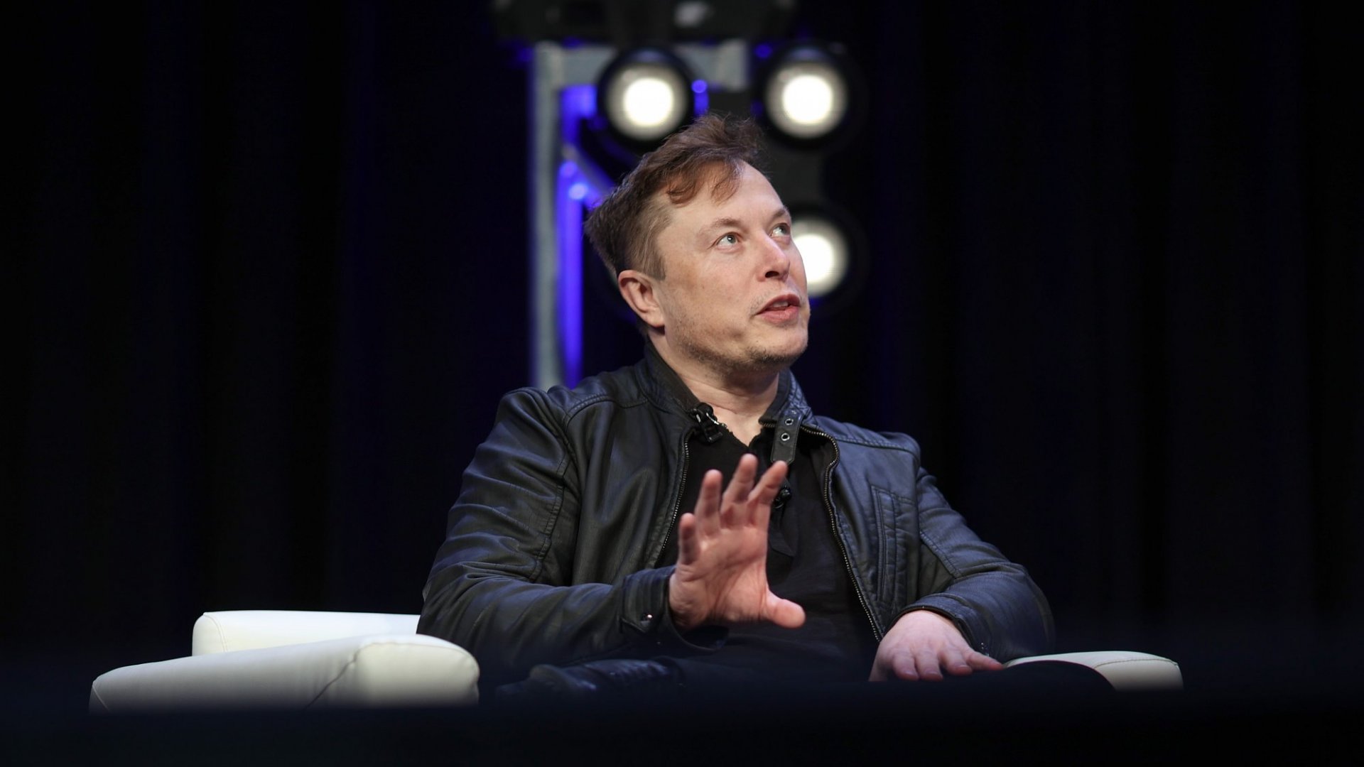 With 5 Words, Elon Musk Just Told Us What He Really Thinks About the