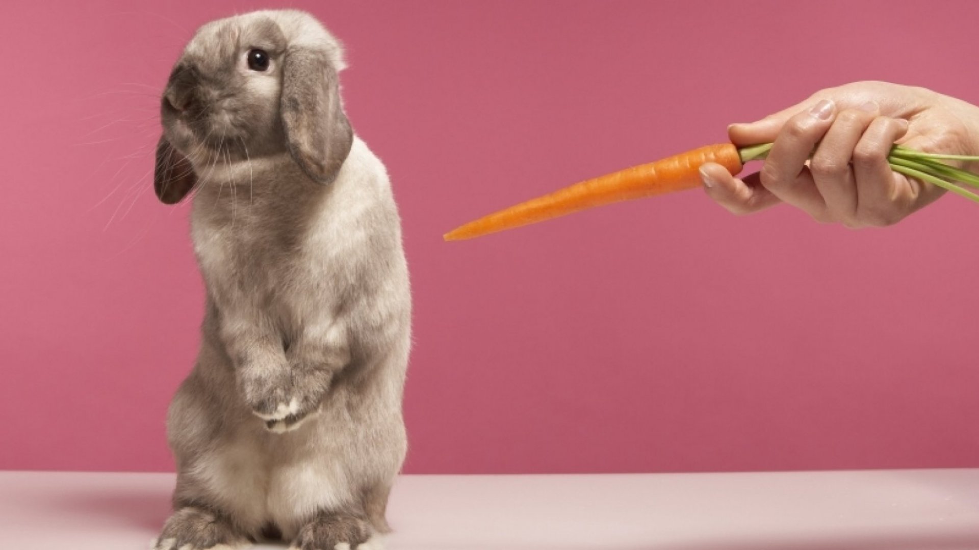 How to Lead Without Carrots or Sticks