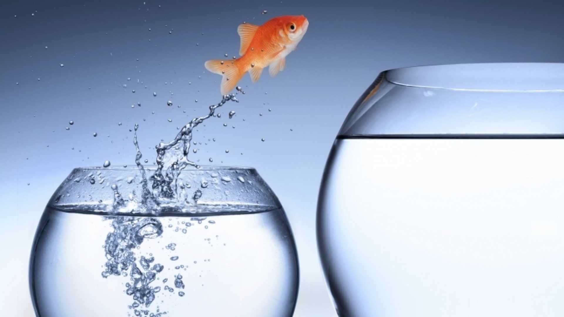 4 Steps to Break the Patterns That Undermine Your Success and Happiness