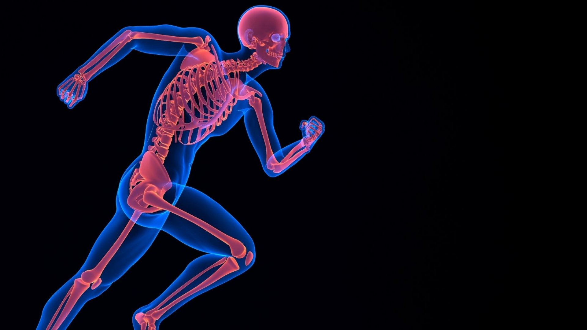 Опорно-двигательная система (костно-мышечная). Влияние движения человека. Костно-мышечная система. Влияние движения человека. Влияние движения на системы и органы.