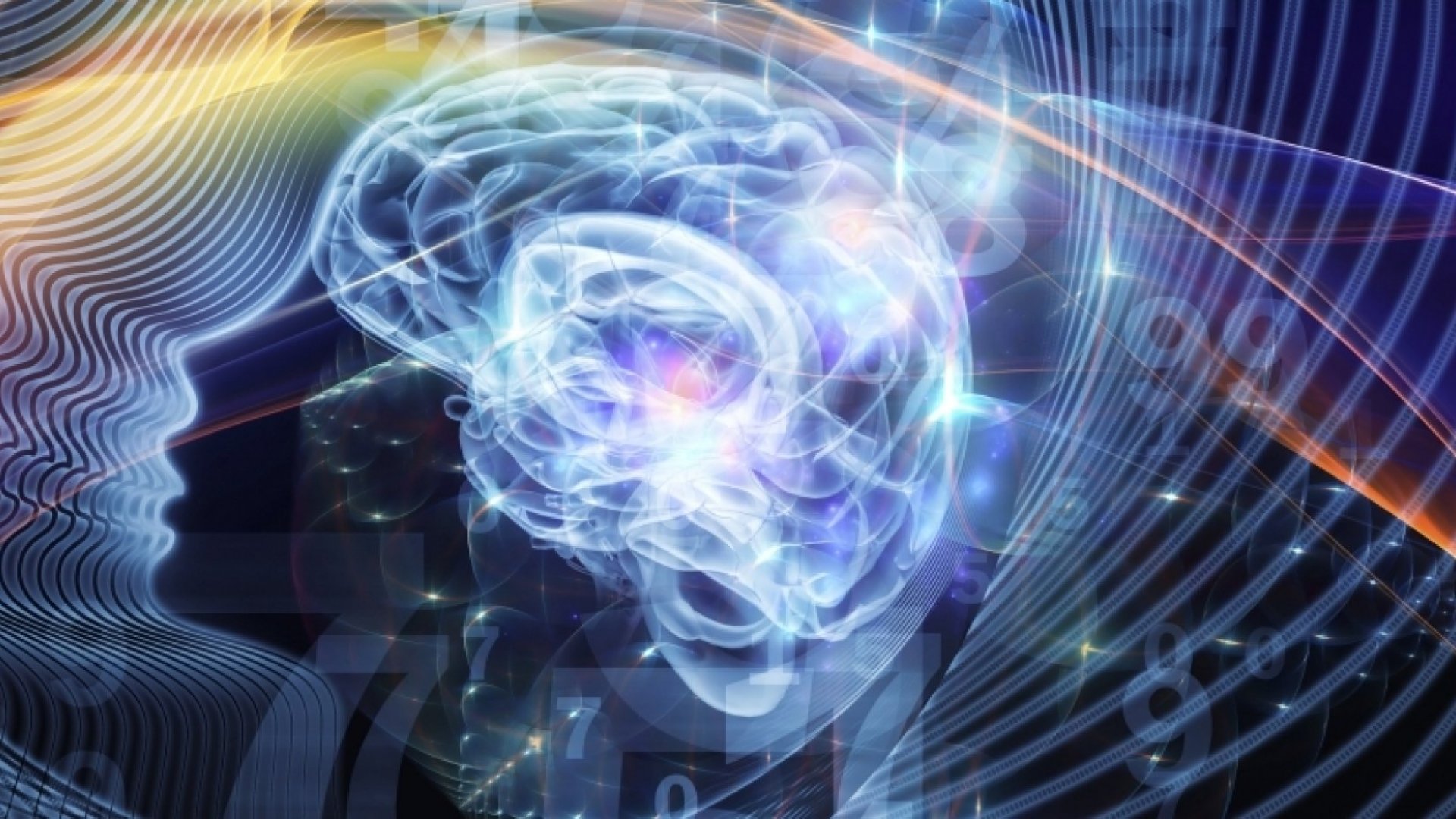 The Science of Memory: How to Effortlessly Boost Your Retention and ...