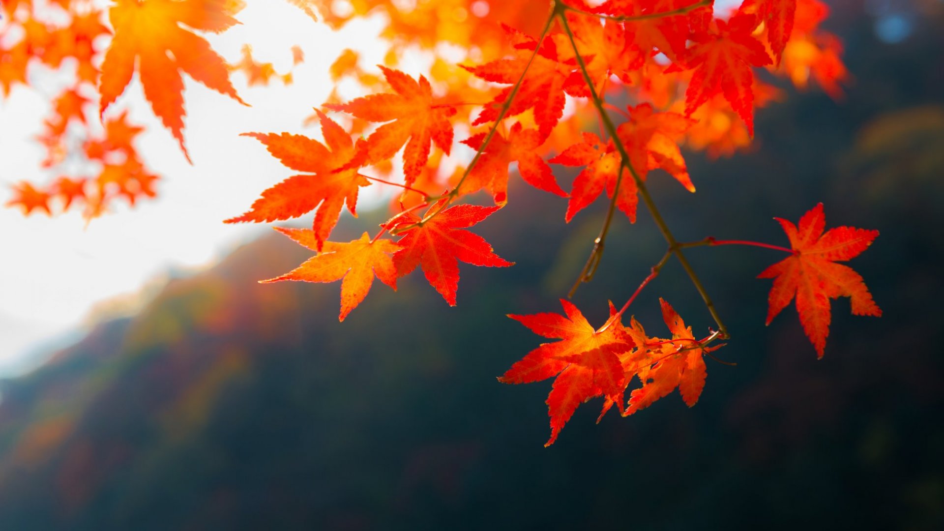 SEPTEMBER 