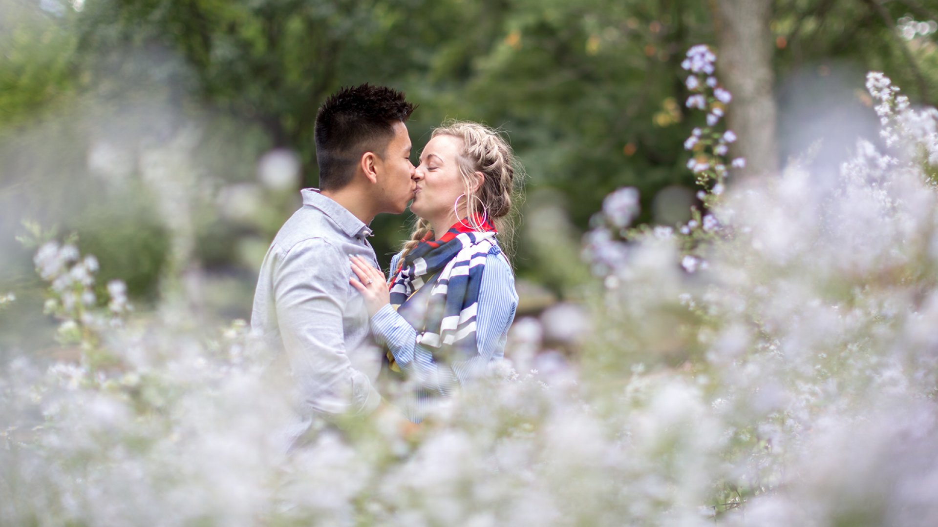 Paparazzi for Your Proposal, and 3 Other 'Shark Tank' Backed Startups