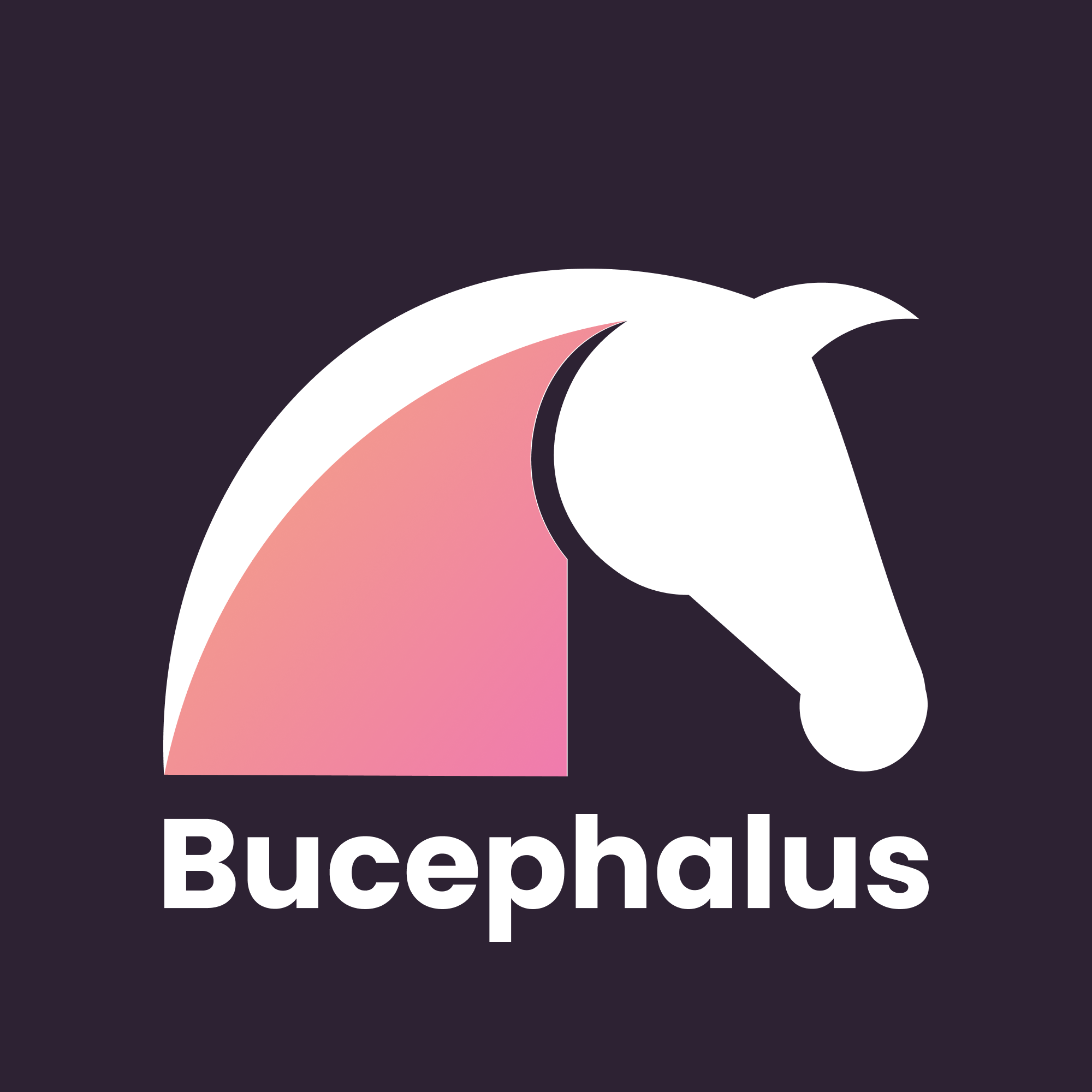 Bucephalus Inc Bucephalus Inc